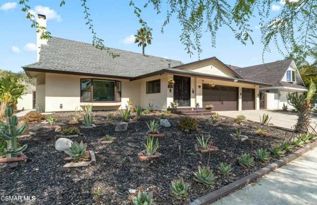 26969 Helmond Drive photos photos