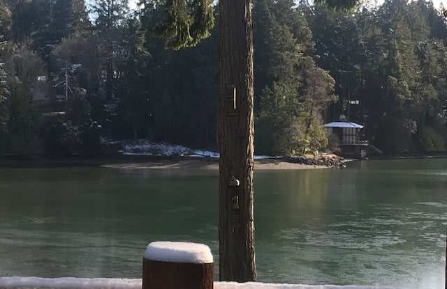 1812 S Marine Dr Gallery 4