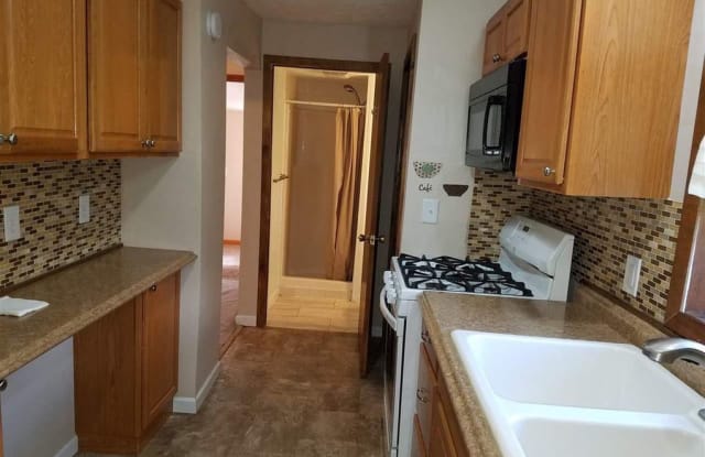 1309 Belnap St - 1309 Belnap Street, Mount Pleasant, MI 48858