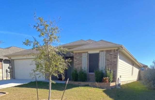 844 Nodding Nixie photos photos