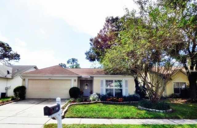 1125 BLOOM HILL AVENUE - 1125 Bloom Hill Avenue, Bloomingdale, FL 33596