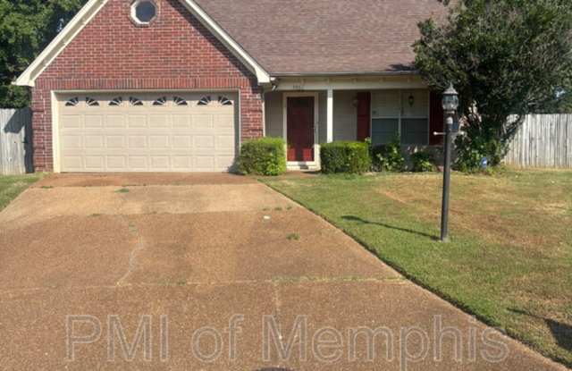 3067 Woodland Fern Cv photos photos