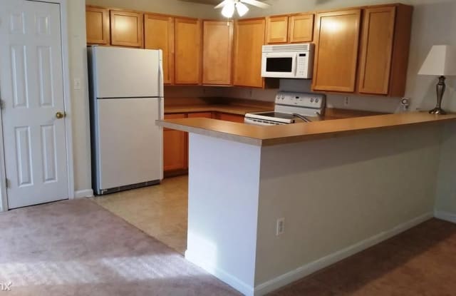 1339 S Hanover St Apt C - 1339 South Hanover Street, Baltimore, MD 21230