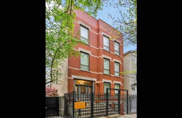 1445 N Mohawk Street - 1445 North Mohawk Street, Chicago, IL 60610