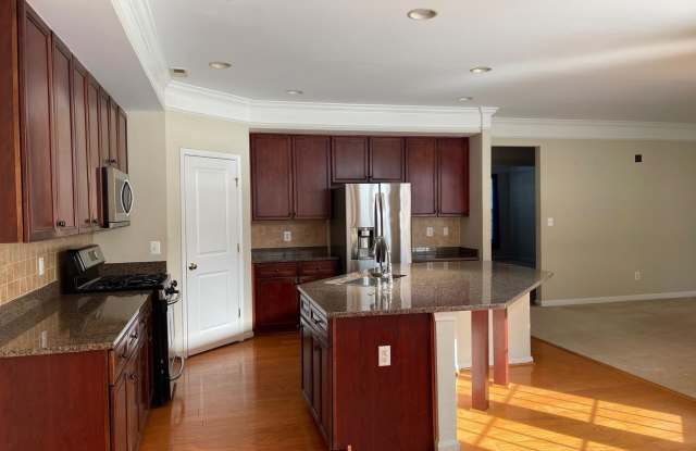 12313 TANALIAN FALLS LN Gallery 2