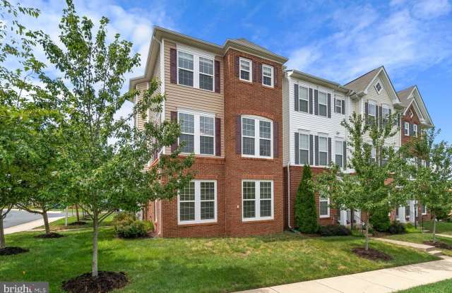 22664 AMBERJACK Square photos photos