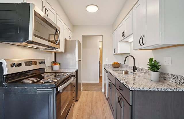 Lydia Rose Apartments photos photos