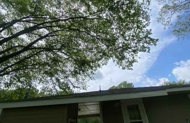 Cute 3 Bedroom Home In South Jackson Gallery 4
