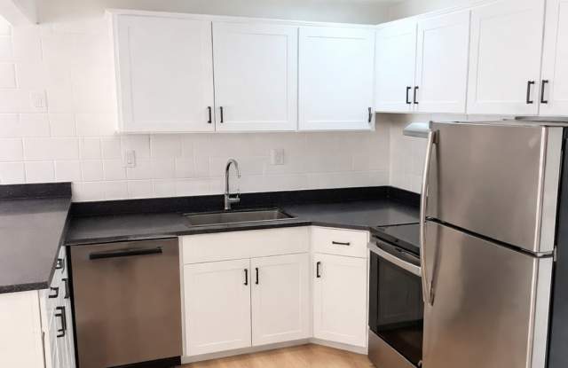 Palms on 2nd photos photos