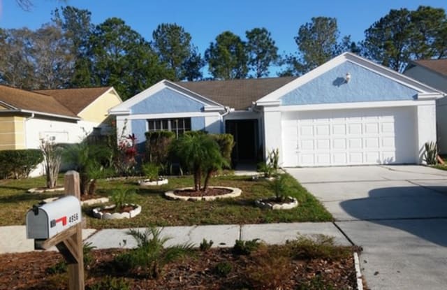 4956 Cypress Trace Dr - 4956 Cypress Trace, Carrollwood, FL 33624