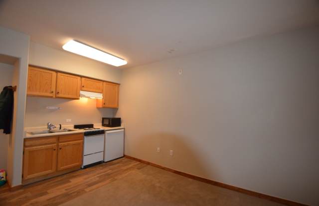 Studio on bus route, walk to Snowflake Lift! Almost all utilities included! Hot tub! photos photos