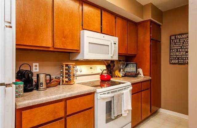 245 Hillsboro Pl Gallery 4