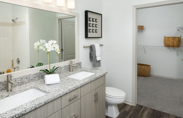 The Madison Apartments Gallery 3