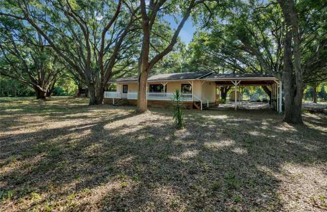 19238 S OBRIEN ROAD - 19238 South Obrien Road, Lake County, FL 34736