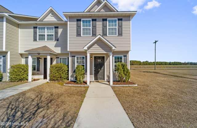 203 Lanieve Court unit: 12 photos photos