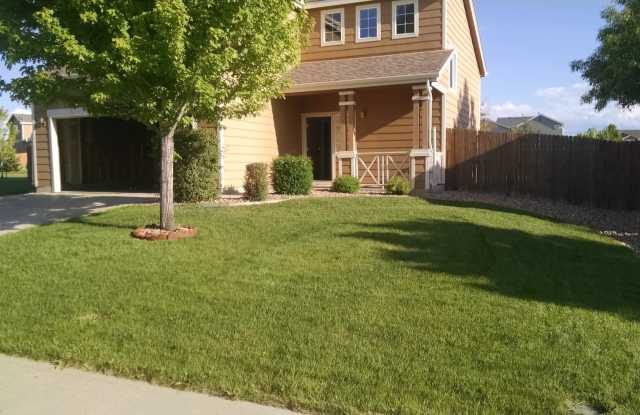 Gorgeous 2 Story 3 Bedroom 2.5 Baths in Dacono For Rent photos photos