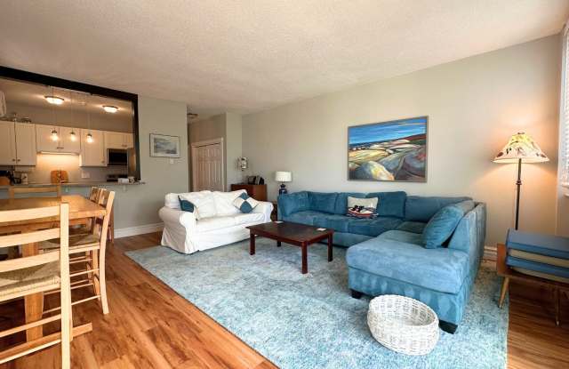 Winter Rental: Pirate's Cove (Pet-friendly!) photos photos