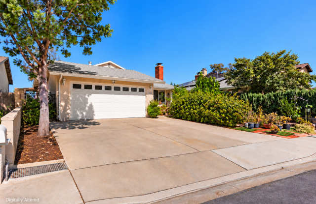 23055 Via Santa Maria Gallery 4