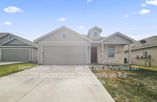 1911 Grey Catbird photos photos