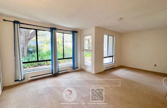 Bright Studio with courtyard view, includes parking  amazing amenities! photos photos