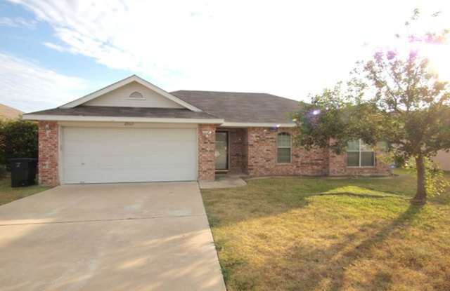 Viewable January 12th! photos photos