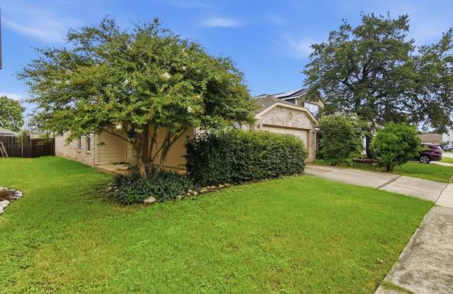 25537 Gold Yarrow Gallery 3