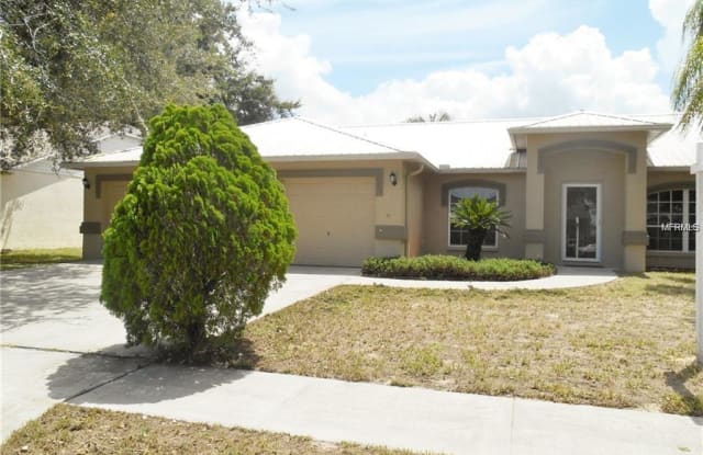 11215 ANDY DRIVE - 11215 Andy Drive, Riverview, FL 33569