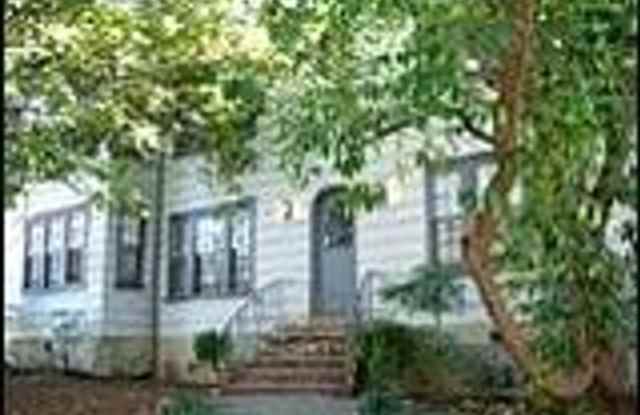 MOUNTAIN AVE photos photos