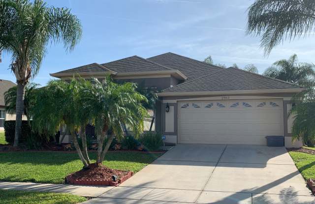 2903 River Birch Dr - 2903 River Birch Drive, Kissimmee, FL 34741