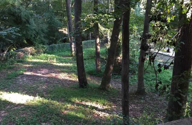 3 Bed / 2 Bath Home on a Private Wooded Lot - Available October 2026! Gallery 4