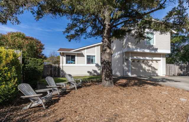 Spacious 4BR House in Santa Rosa - 2307 Maria Luz Court East, Santa Rosa, CA 95401