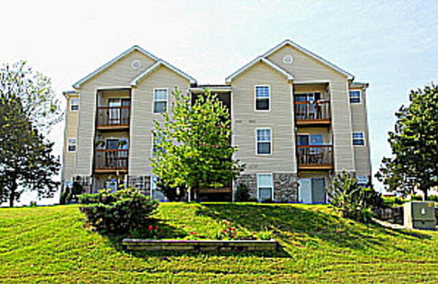Newly Renovated Nice Garden Level 2 bedroom 2 Bath Apartment near Branson Hills photos photos