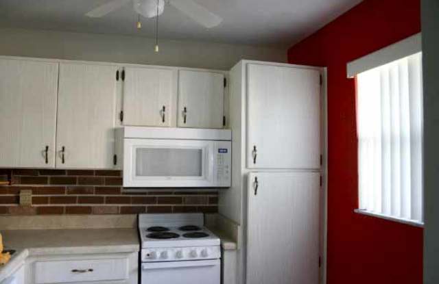 10455 Carrollwood Estates Drive Gallery 3