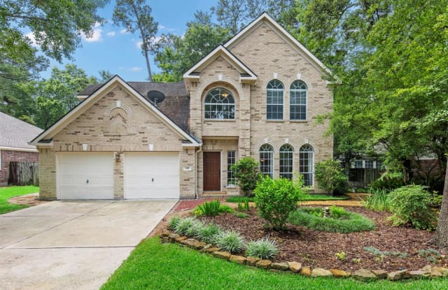150 W Bristol Oak Circle - 150 West Bristol Oak Circle, The Woodlands, TX 77382