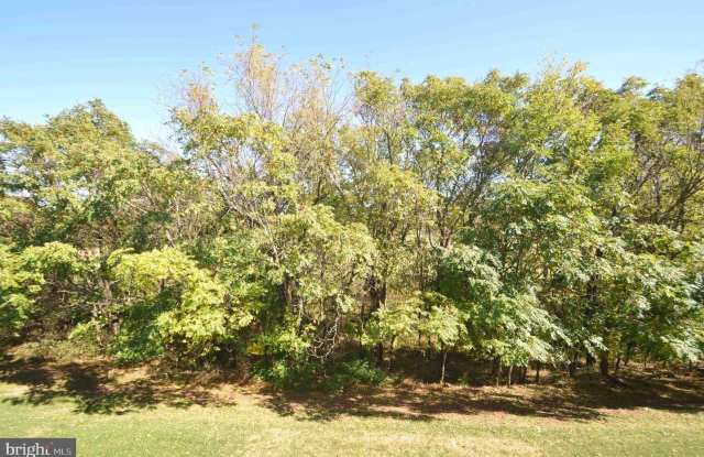 21264 PARK GROVE TER Gallery 2