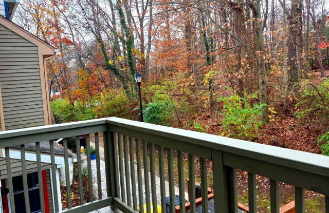 4812 BROOKSTONE TERRACE Gallery 2