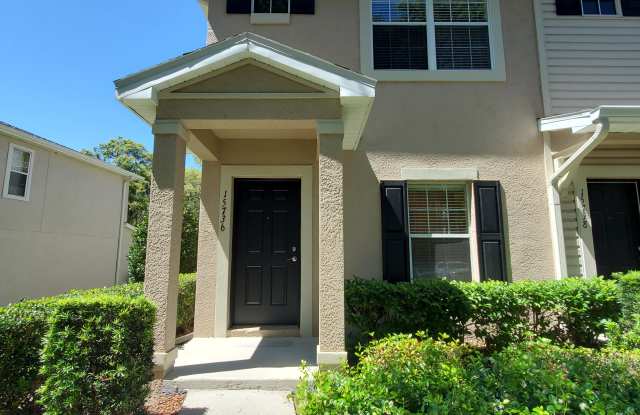 15736 Fishhawk Falls Drive - 15736 Fishhawk Falls Drive, Fish Hawk, FL 33547