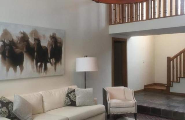 430 W Hallam - 430 West Hallam Street, Aspen, CO 81611