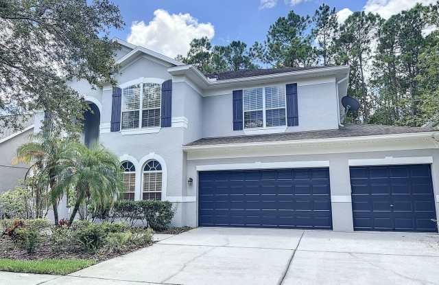 Beautifully Renovated Home in Tampa Palms Gated Community - 16126 Colchester Palms Drive, Tampa, FL 33647