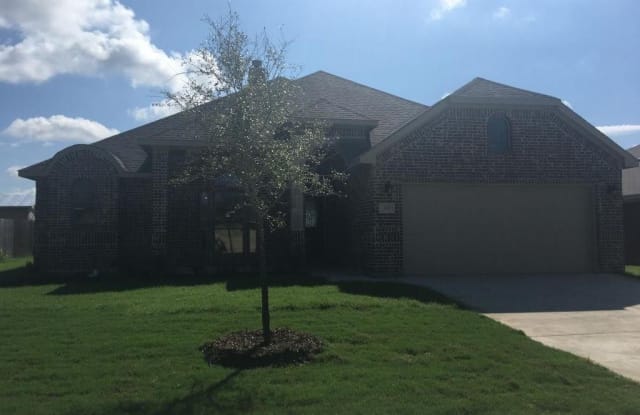 729 Alexandria Lane - 729 Alexandria Lane, Joshua, TX 76058