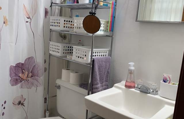 100 North Kidder Street - 3 - 100 Kidder Street, Plano, IL 60545