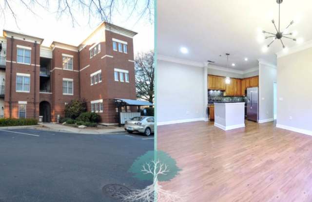 764 N Davidson St 1105 - 764 North Davidson Street, Charlotte, NC 28202