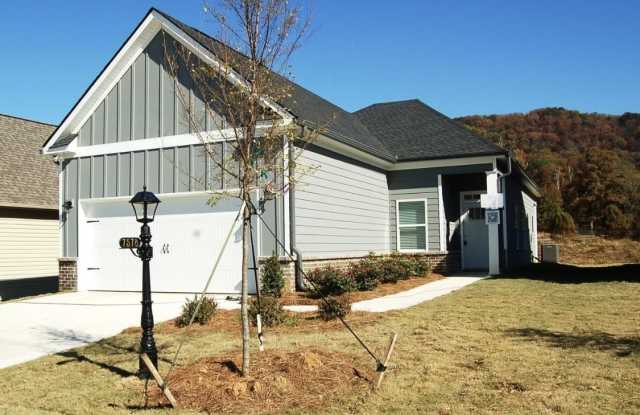 7578 Snow Cone Way photos photos