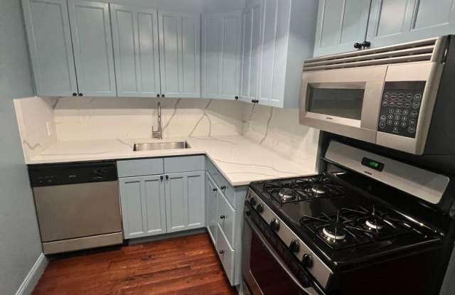 Cozy Allston one bedroom apartment available - 89 Chester Street, Boston, MA 02134