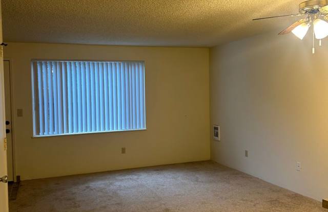 (749) Jackson Square - 2 Bedroom / 1.5 Bathroom – Albany Gallery 3