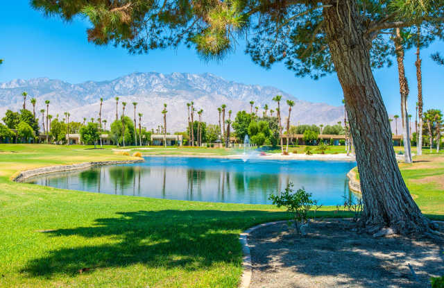 28859 Desert Princess Drive photos photos