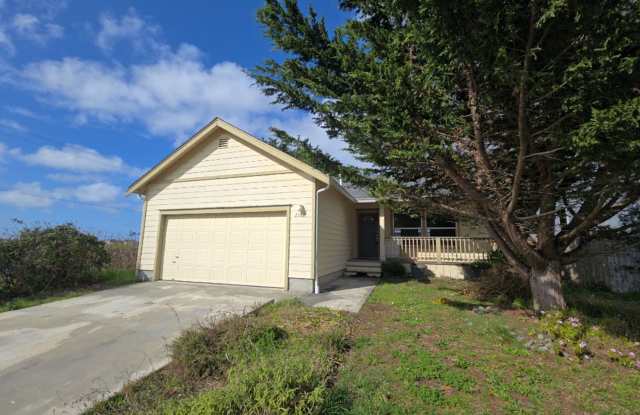 3BD/2BA Arcata home! photos photos