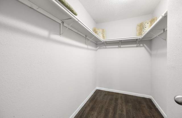 Solace Apartment Homes photos photos