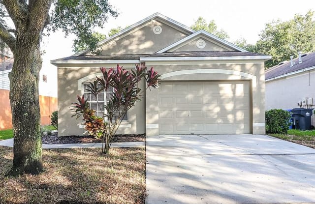 6117 Kiteridge Dr - 6117 Kiteridge Drive, Fish Hawk, FL 33547