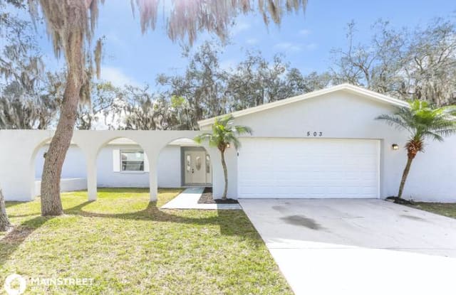 503 Wynnwood Drive - 503 Wynnwood Drive, Bloomingdale, FL 33511